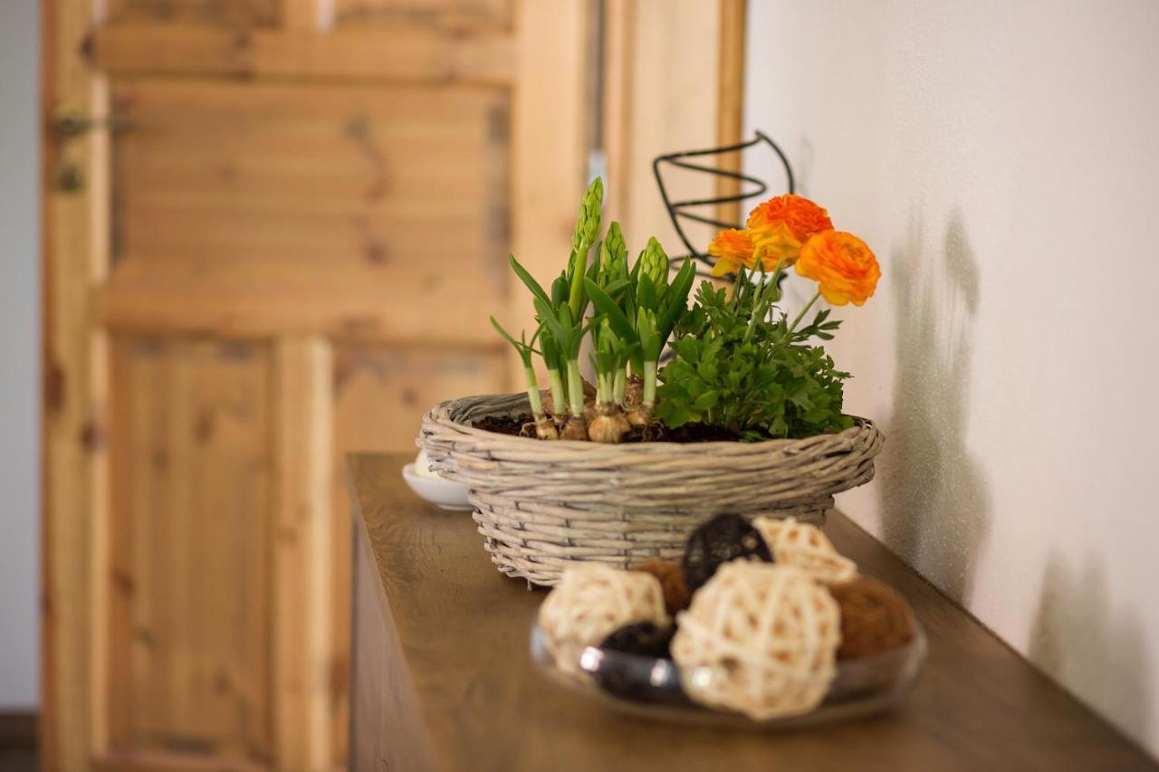 Apartment Pohoda Vrbice